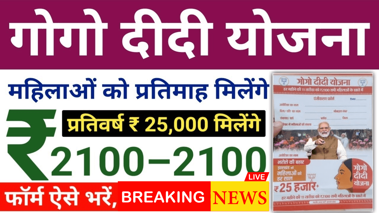 Gogo Didi Yojana 2024