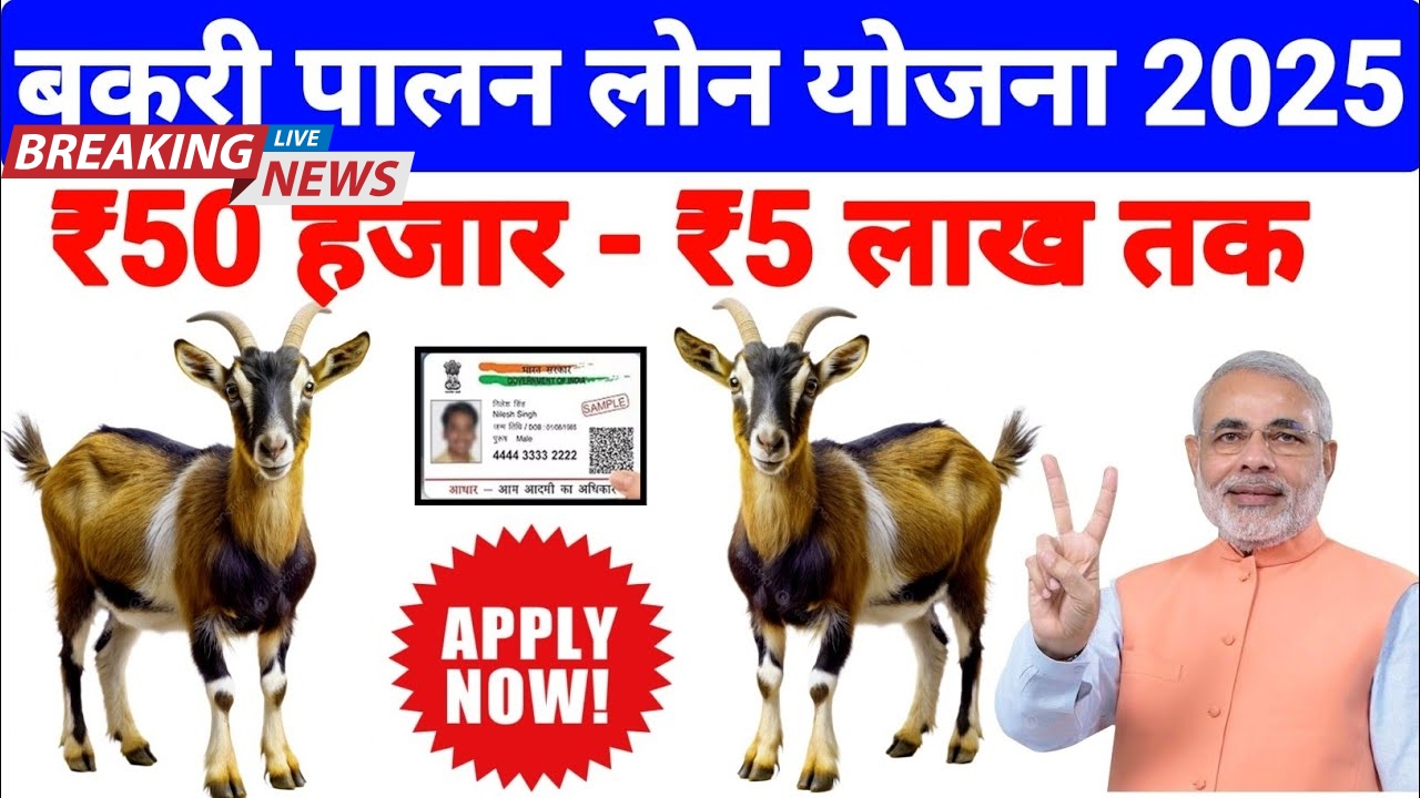 Goat Farming Government Loan Scheme